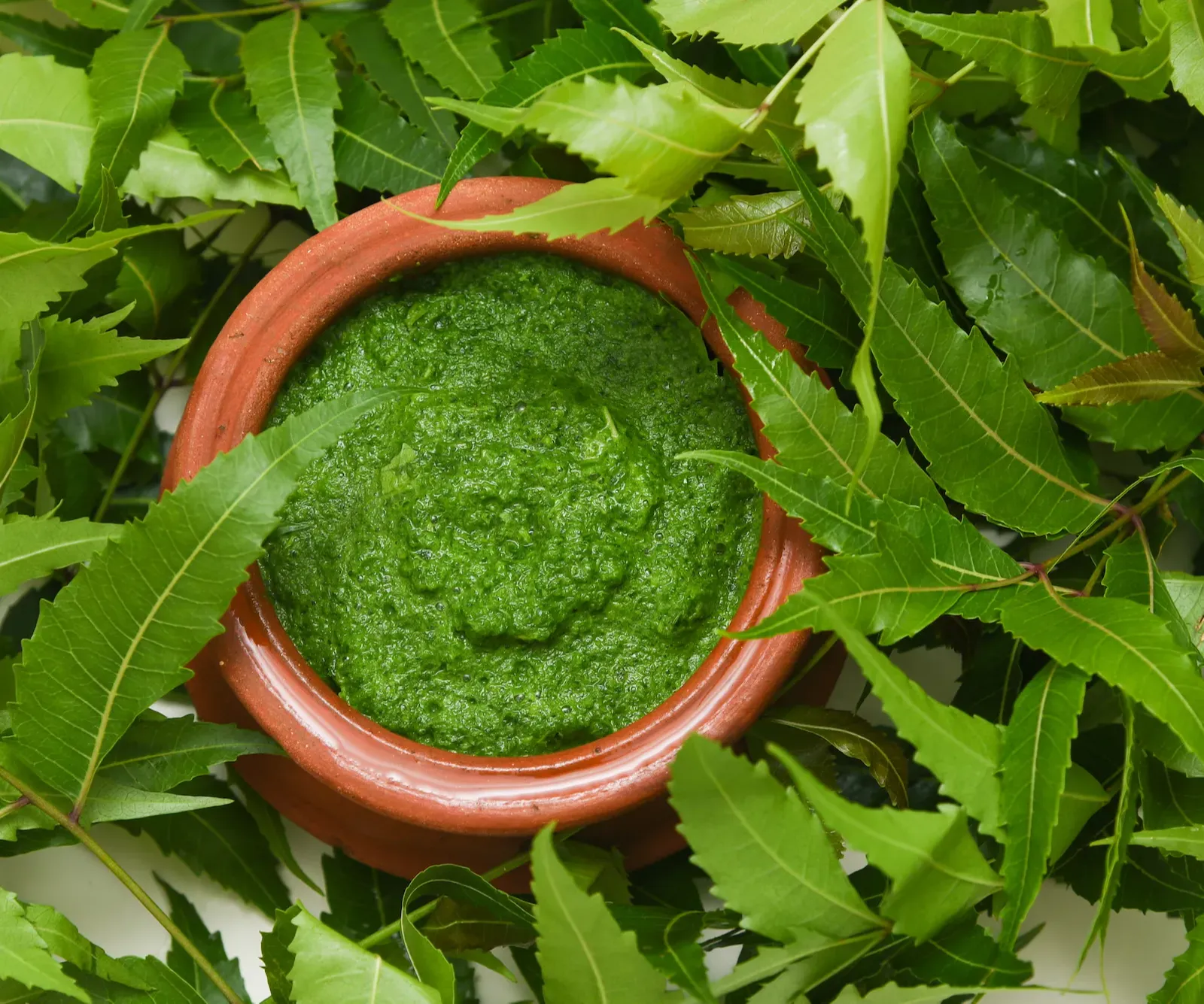 Neem
